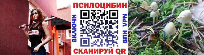 Псилоцибиновые грибы Psilocybine cubensis  Купить закладки  Суздаль 