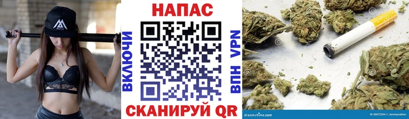 Купить закладки  Суздаль  Марихуана THC 21% 